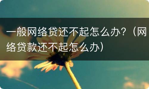 一般网络贷还不起怎么办?（网络贷款还不起怎么办）