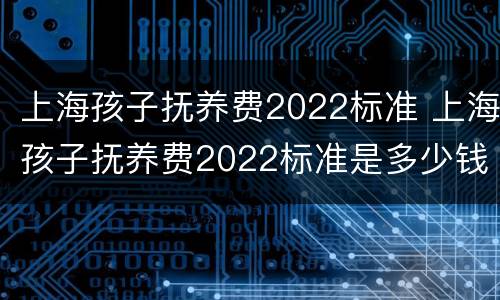 上海孩子抚养费2022标准 上海孩子抚养费2022标准是多少钱