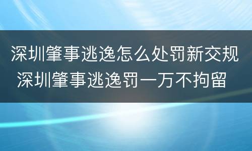 深圳肇事逃逸怎么处罚新交规 深圳肇事逃逸罚一万不拘留