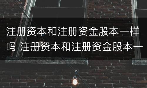 注册资本和注册资金股本一样吗 注册资本和注册资金股本一样吗知乎