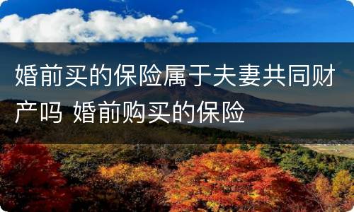 婚前买的保险属于夫妻共同财产吗 婚前购买的保险