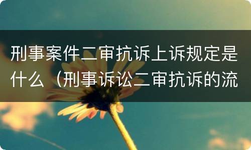 刑事案件二审抗诉上诉规定是什么（刑事诉讼二审抗诉的流程）