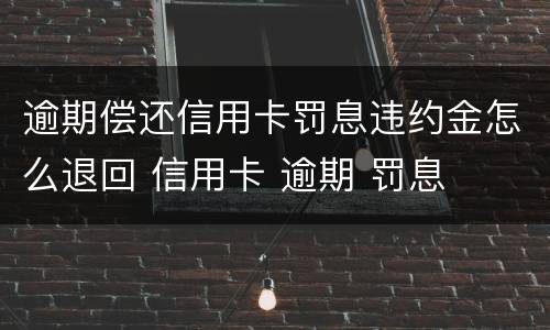 逾期偿还信用卡罚息违约金怎么退回 信用卡 逾期 罚息