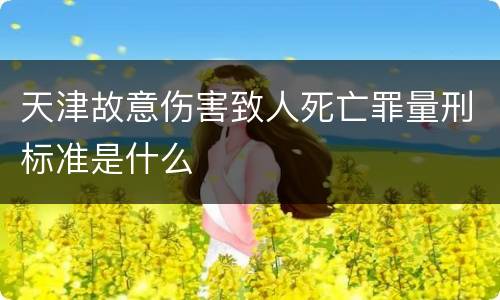 天津故意伤害致人死亡罪量刑标准是什么