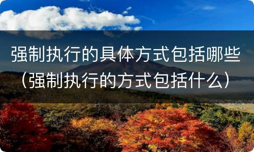 强制执行的具体方式包括哪些（强制执行的方式包括什么）