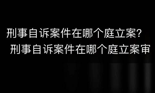 刑事自诉案件在哪个庭立案？ 刑事自诉案件在哪个庭立案审理