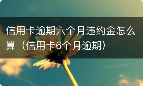 信用卡逾期六个月违约金怎么算（信用卡6个月逾期）