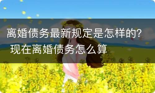 离婚债务最新规定是怎样的？ 现在离婚债务怎么算