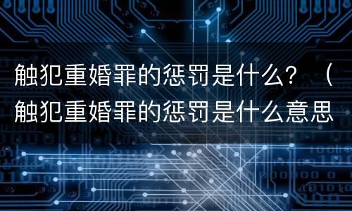 触犯重婚罪的惩罚是什么？（触犯重婚罪的惩罚是什么意思）