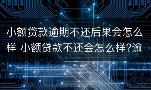 小额贷款逾期不还后果会怎么样 小额贷款不还会怎么样?逾期后果很严重