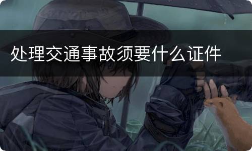 处理交通事故须要什么证件