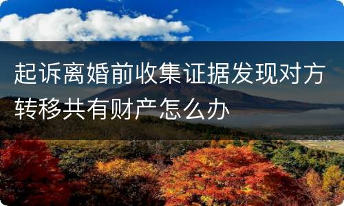 起诉离婚前收集证据发现对方转移共有财产怎么办