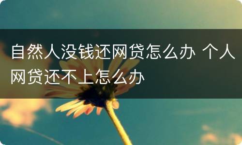自然人没钱还网贷怎么办 个人网贷还不上怎么办