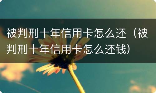 被判刑十年信用卡怎么还（被判刑十年信用卡怎么还钱）
