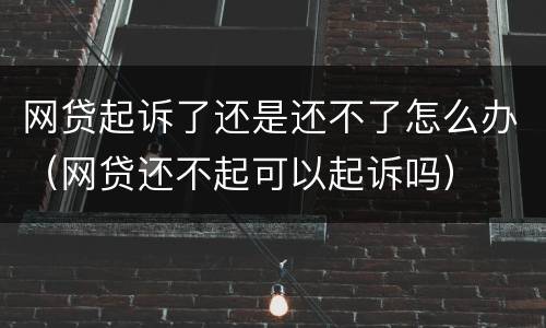 网贷起诉了还是还不了怎么办（网贷还不起可以起诉吗）