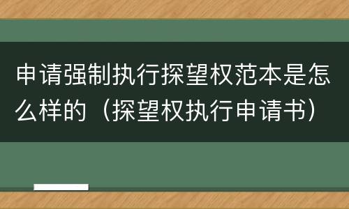 申请强制执行探望权范本是怎么样的（探望权执行申请书）