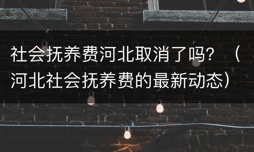 社会抚养费河北取消了吗？（河北社会抚养费的最新动态）