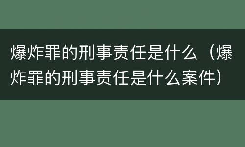 爆炸罪的刑事责任是什么（爆炸罪的刑事责任是什么案件）