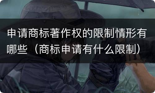 申请商标著作权的限制情形有哪些（商标申请有什么限制）