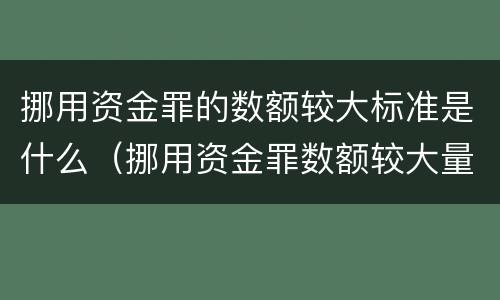 挪用资金罪的数额较大标准是什么（挪用资金罪数额较大量刑标准）