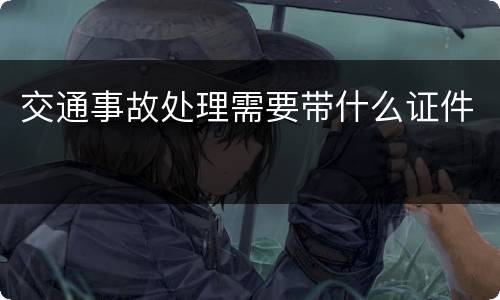 交通事故处理需要带什么证件