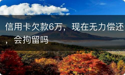 信用卡欠款6万，现在无力偿还，会拘留吗