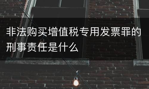 非法购买增值税专用发票罪的刑事责任是什么