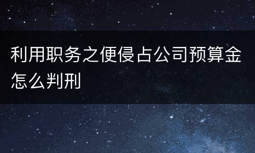 利用职务之便侵占公司预算金怎么判刑
