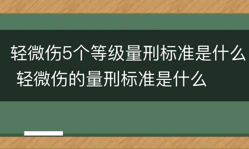轻微伤5个等级量刑标准是什么 轻微伤的量刑标准是什么