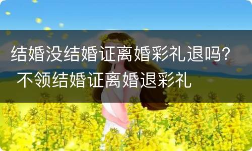 结婚没结婚证离婚彩礼退吗？ 不领结婚证离婚退彩礼