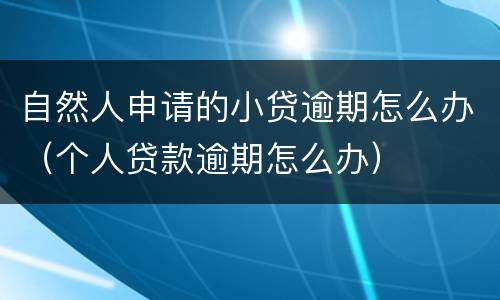 自然人申请的小贷逾期怎么办（个人贷款逾期怎么办）