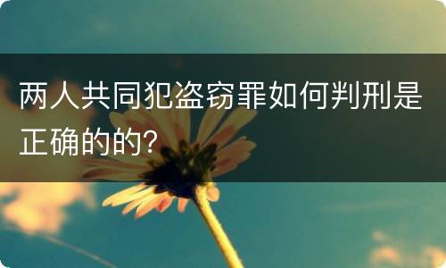 两人共同犯盗窃罪如何判刑是正确的的？