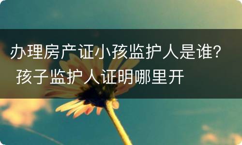 办理房产证小孩监护人是谁？ 孩子监护人证明哪里开