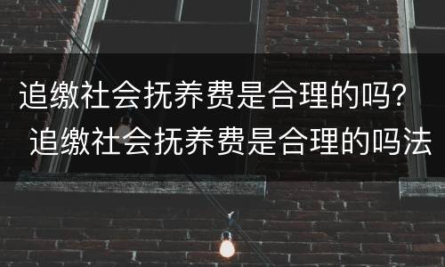 追缴社会抚养费是合理的吗？ 追缴社会抚养费是合理的吗法律