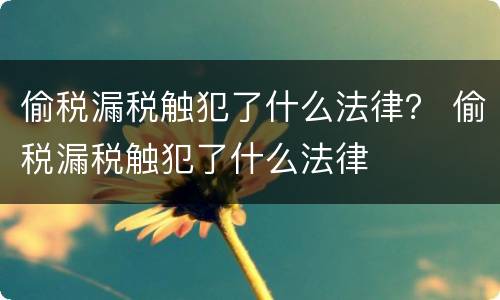 偷税漏税触犯了什么法律？ 偷税漏税触犯了什么法律