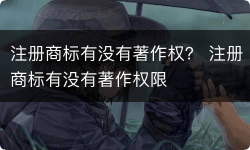 注册商标有没有著作权？ 注册商标有没有著作权限