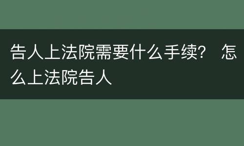 告人上法院需要什么手续？ 怎么上法院告人