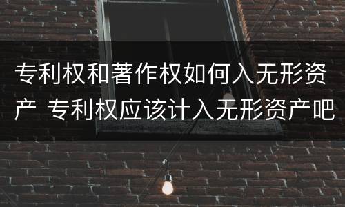 专利权和著作权如何入无形资产 专利权应该计入无形资产吧