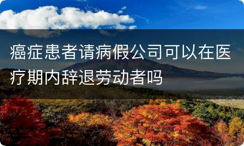 癌症患者请病假公司可以在医疗期内辞退劳动者吗