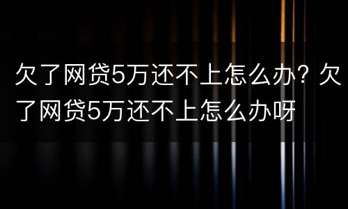 欠了网贷5万还不上怎么办? 欠了网贷5万还不上怎么办呀