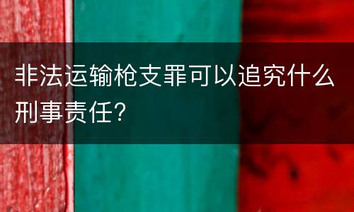非法运输枪支罪可以追究什么刑事责任?
