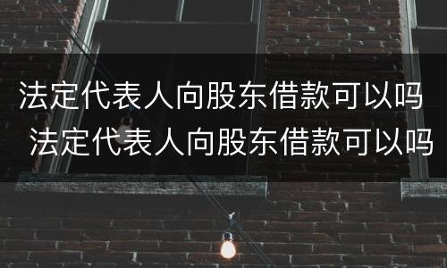 法定代表人向股东借款可以吗 法定代表人向股东借款可以吗怎么办