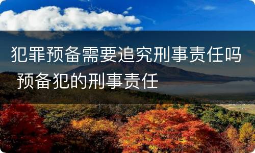犯罪预备需要追究刑事责任吗 预备犯的刑事责任