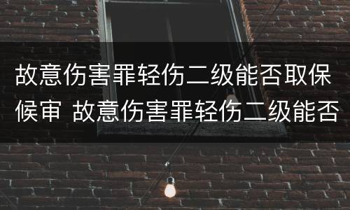 故意伤害罪轻伤二级能否取保候审 故意伤害罪轻伤二级能否取保候审呢