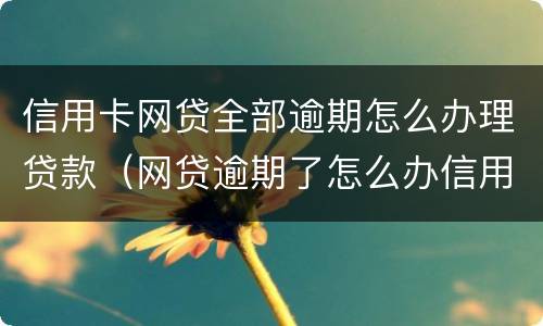 信用卡网贷全部逾期怎么办理贷款（网贷逾期了怎么办信用卡）
