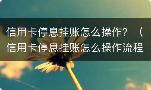 信用卡停息挂账怎么操作？（信用卡停息挂账怎么操作流程）