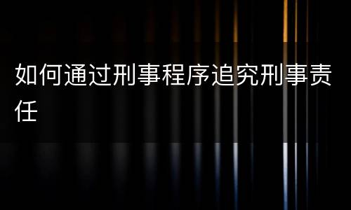 如何通过刑事程序追究刑事责任