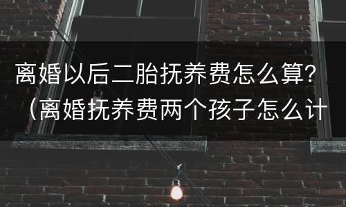 离婚以后二胎抚养费怎么算？（离婚抚养费两个孩子怎么计算抚养费）