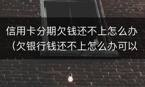 信用卡分期欠钱还不上怎么办（欠银行钱还不上怎么办可以分期还吗）