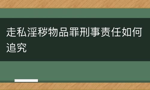 走私淫秽物品罪刑事责任如何追究